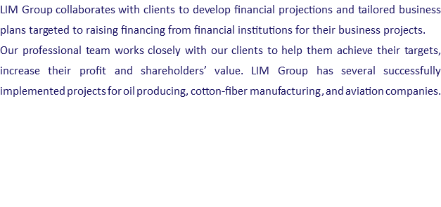 LIM Group collaborates with clients to develop financial projections and tailored business plans targeted to raising financing from financial institutions for their business projects. Our professional team works closely with our clients to help them achieve their targets, increase their profit and shareholders’ value. LIM Group has several successfully implemented projects for oil producing, cotton-fiber manufacturing, and aviation companies. 